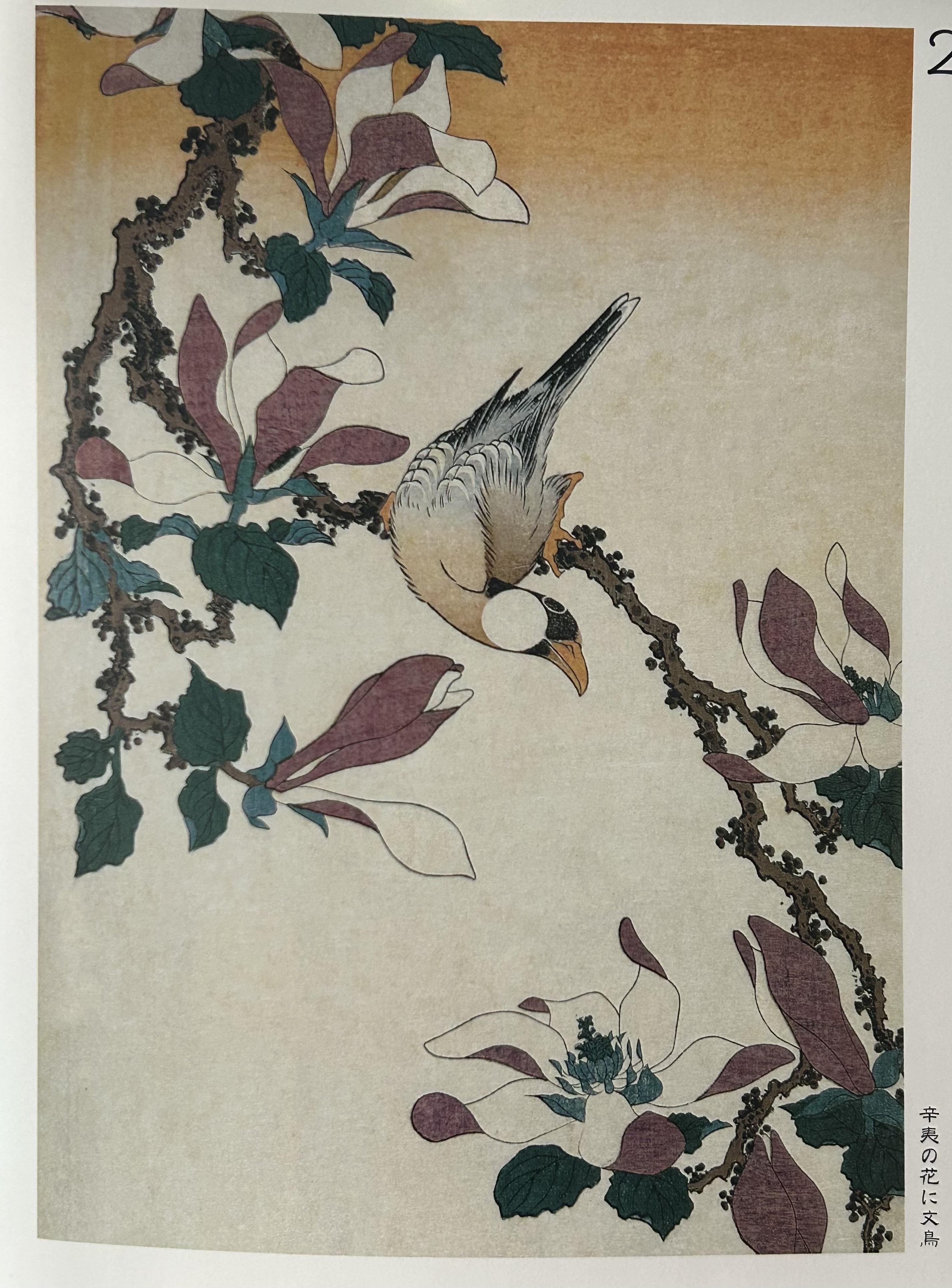 辛夷の花に文鳥 | 淡海マリコさんのブログ - @cosme(アットコスメ)