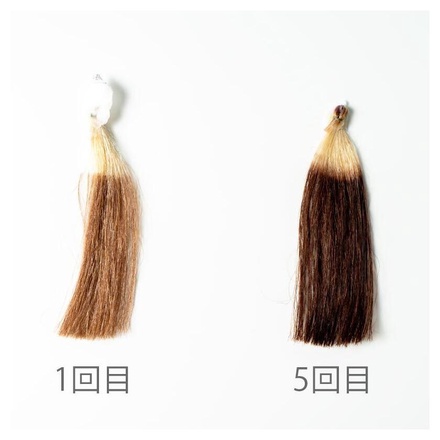 生活の木 / ヘアカラートリートメント ダークブラウンの公式商品情報