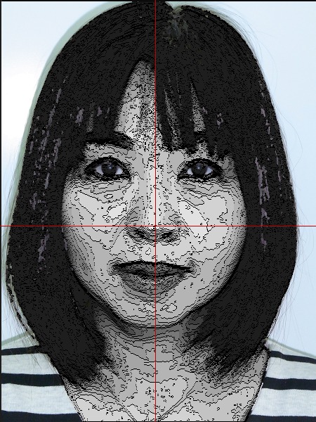 激安！モアレトポグラフィー モアレ 姿勢 分析 等高線 整体 歪みチェック