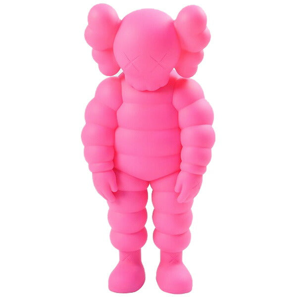 KAWS カウズ ×MEDICOM TOY メディコムトイ WHAT PARTY フィギュア