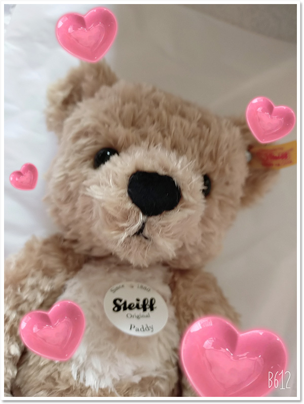 シュタイフ 100周年記念 テディベア 25cm EAN038884