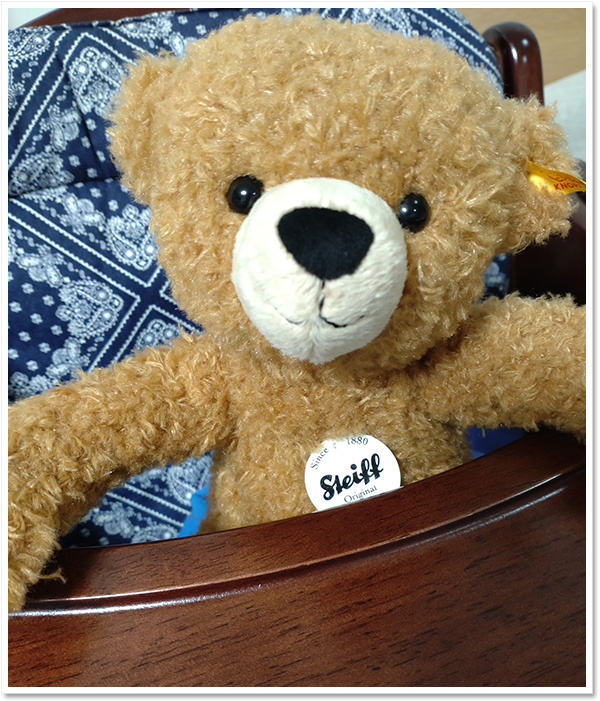 シュタイフ 赤ちゃんキツネのフォクシー 19cm EAN074035