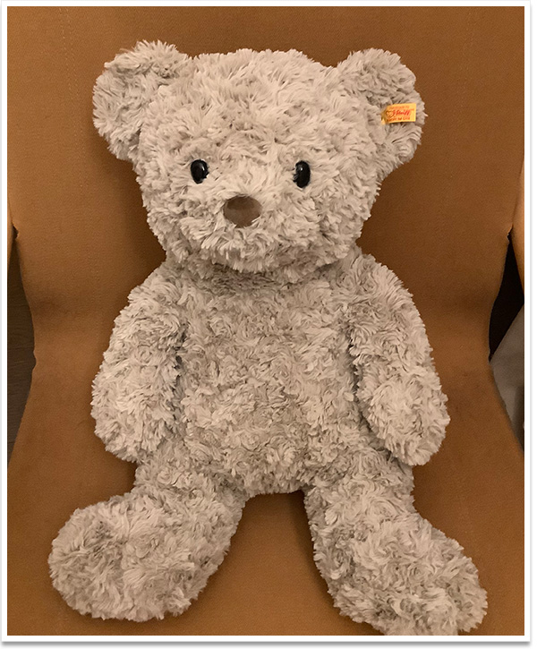 シュタイフ クラシック テディベア 1920 25cm EAN000713