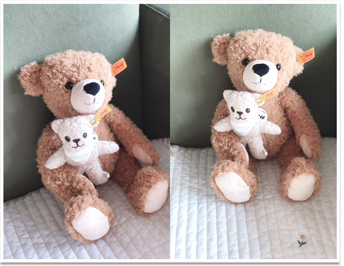 シュタイフ クラシックテディベア 1920 35cm EAN000737