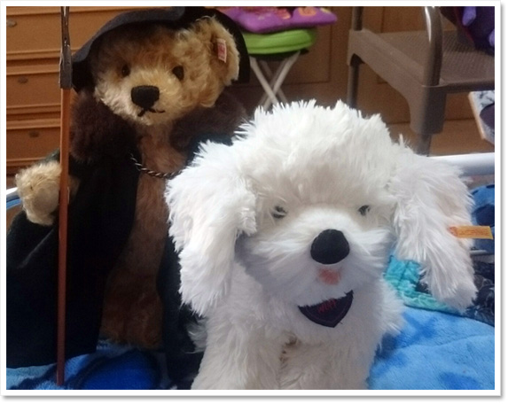 シュタイフ テディベア ベビーマサコ（BABY MASAKO) 23cm EAN652516