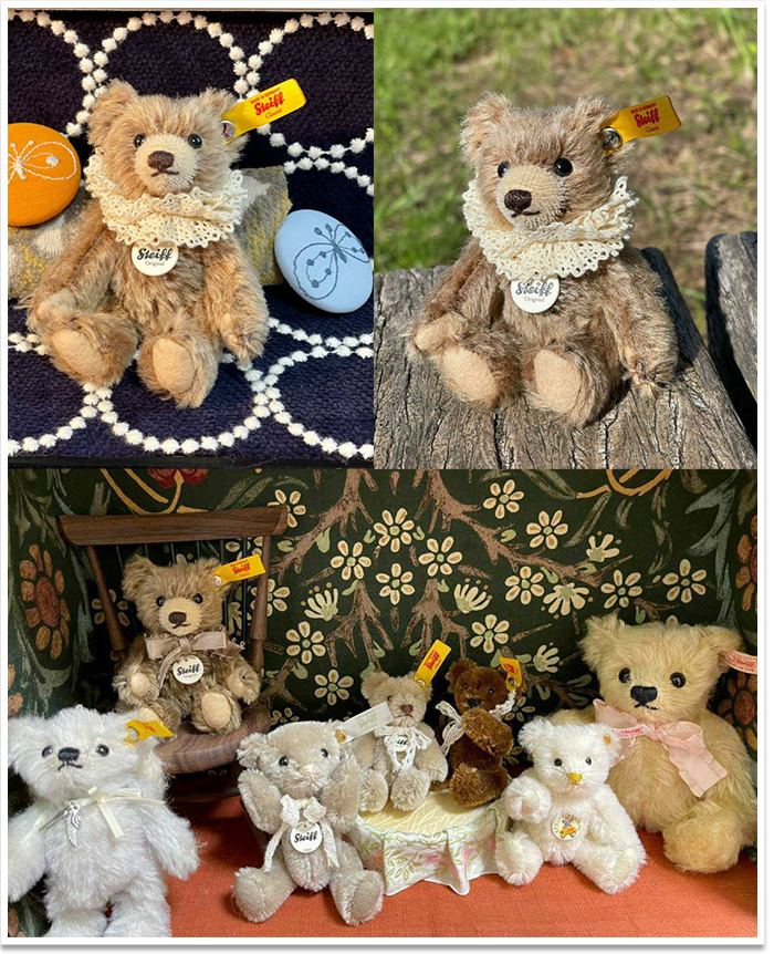 シュタイフ ハイデンベルグフラタニティ ステューデントテディベア