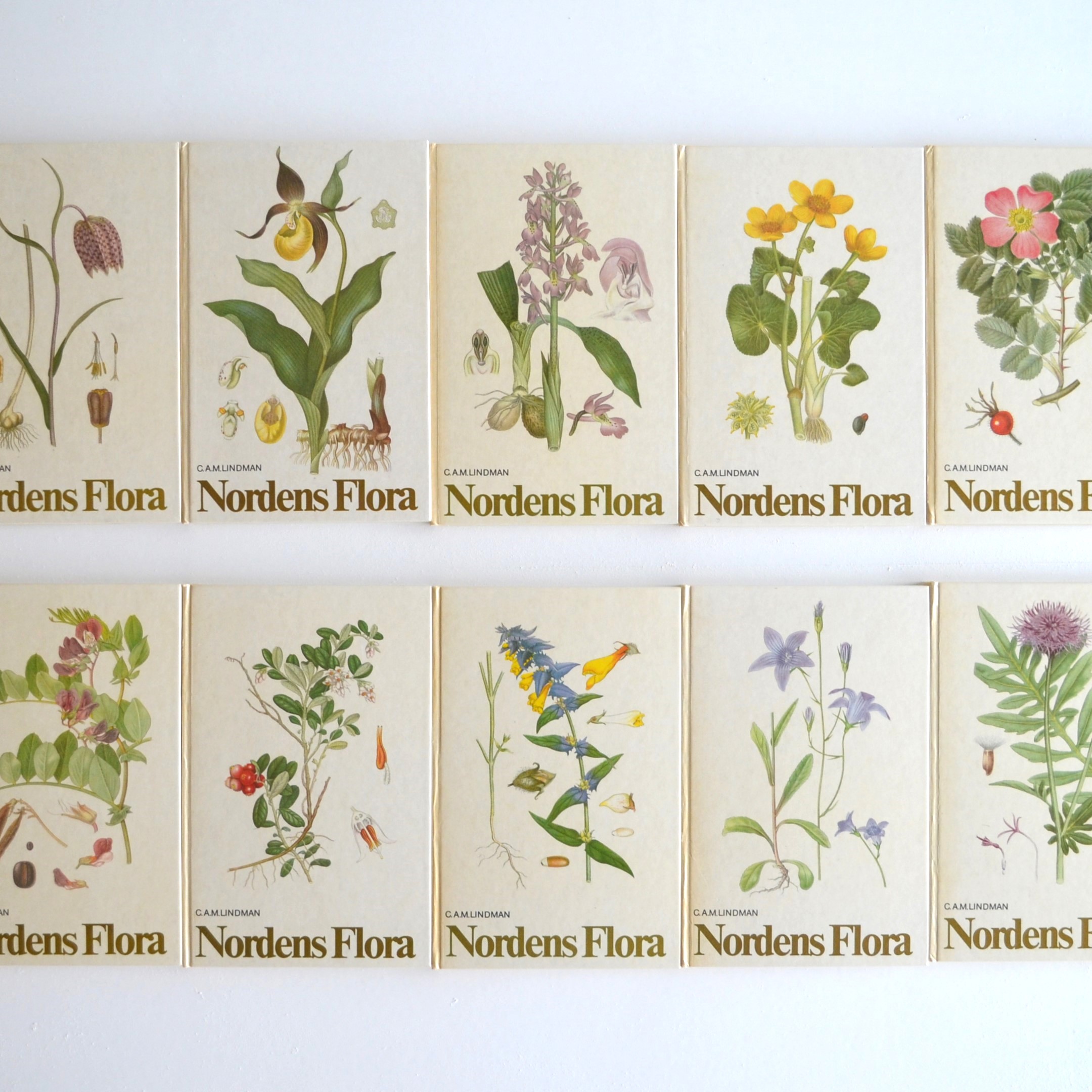 植物図鑑 Vol.1～10・Nordens Flora / 1974年出版・古書 | florantik