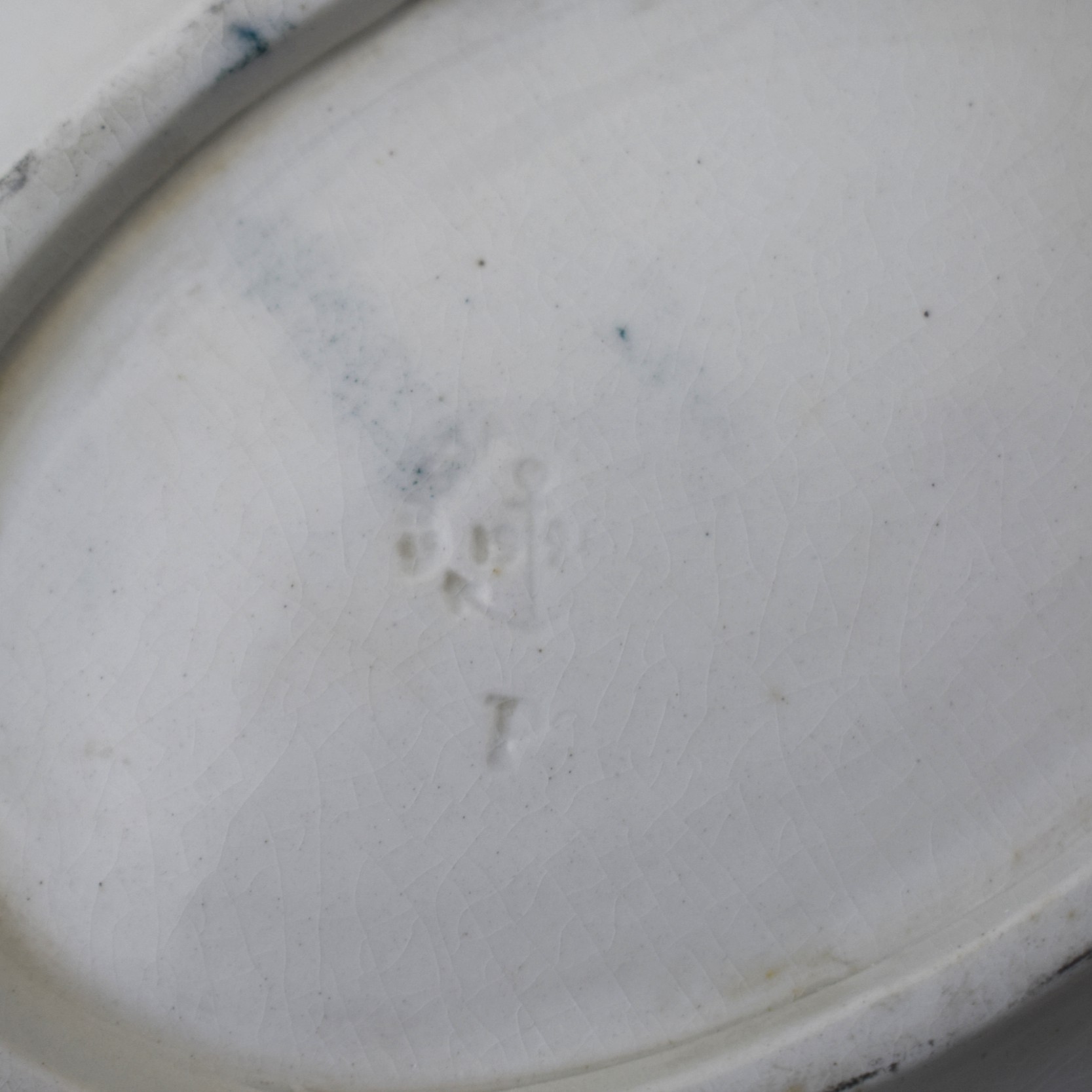 カモメのお皿 / Öresund・オーレスンド / Old Gustavsberg・グスタフ