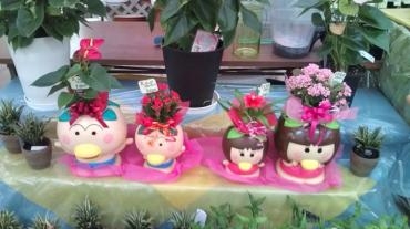 はなかっぱ入りました | 花屋ブログ | 和歌山県和歌山市の花屋