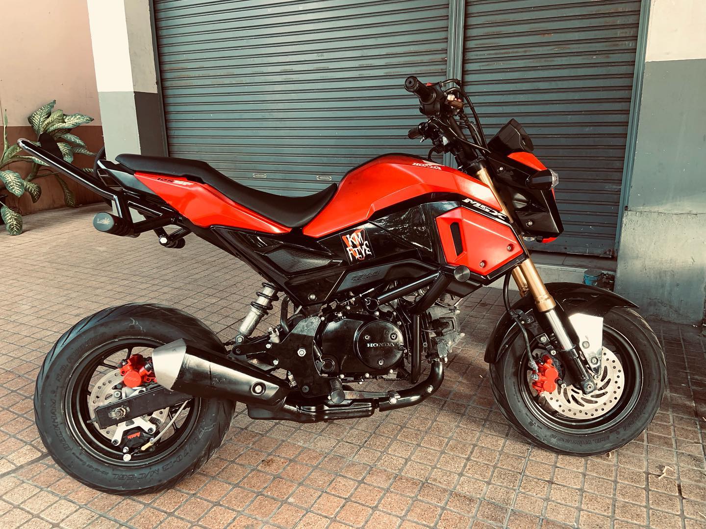 商品一覧 - darkknightstreet : Inspired by LnwShop.com (v2)