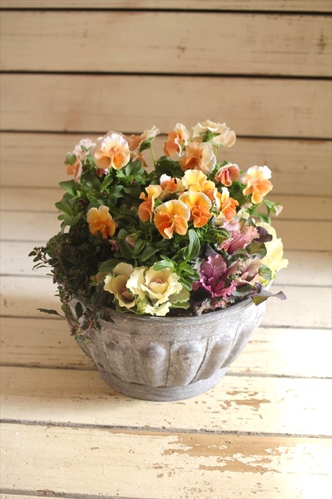 寄せ植え 鉢 ジャンクガーデン 寄せ植え 花苗通販 Garden Frais