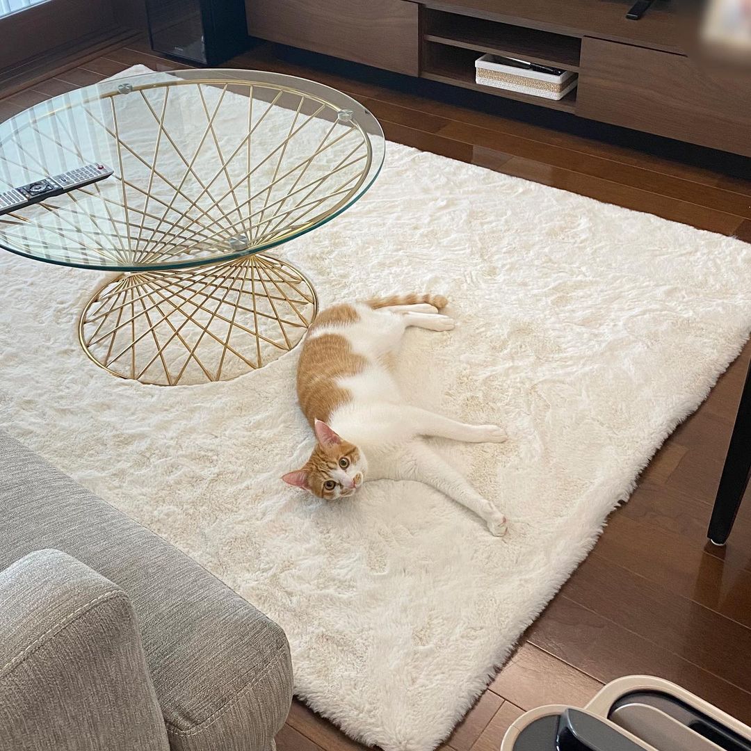 思わずね寝そべりたくなるような、ふわさら素材のラグマット