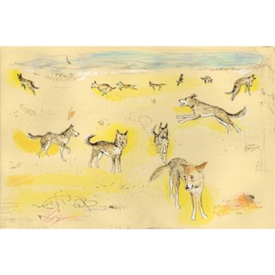 山本容子作(ヤマモトヨウコ サク)の『Lucas－sea』銅版画 手彩色通販