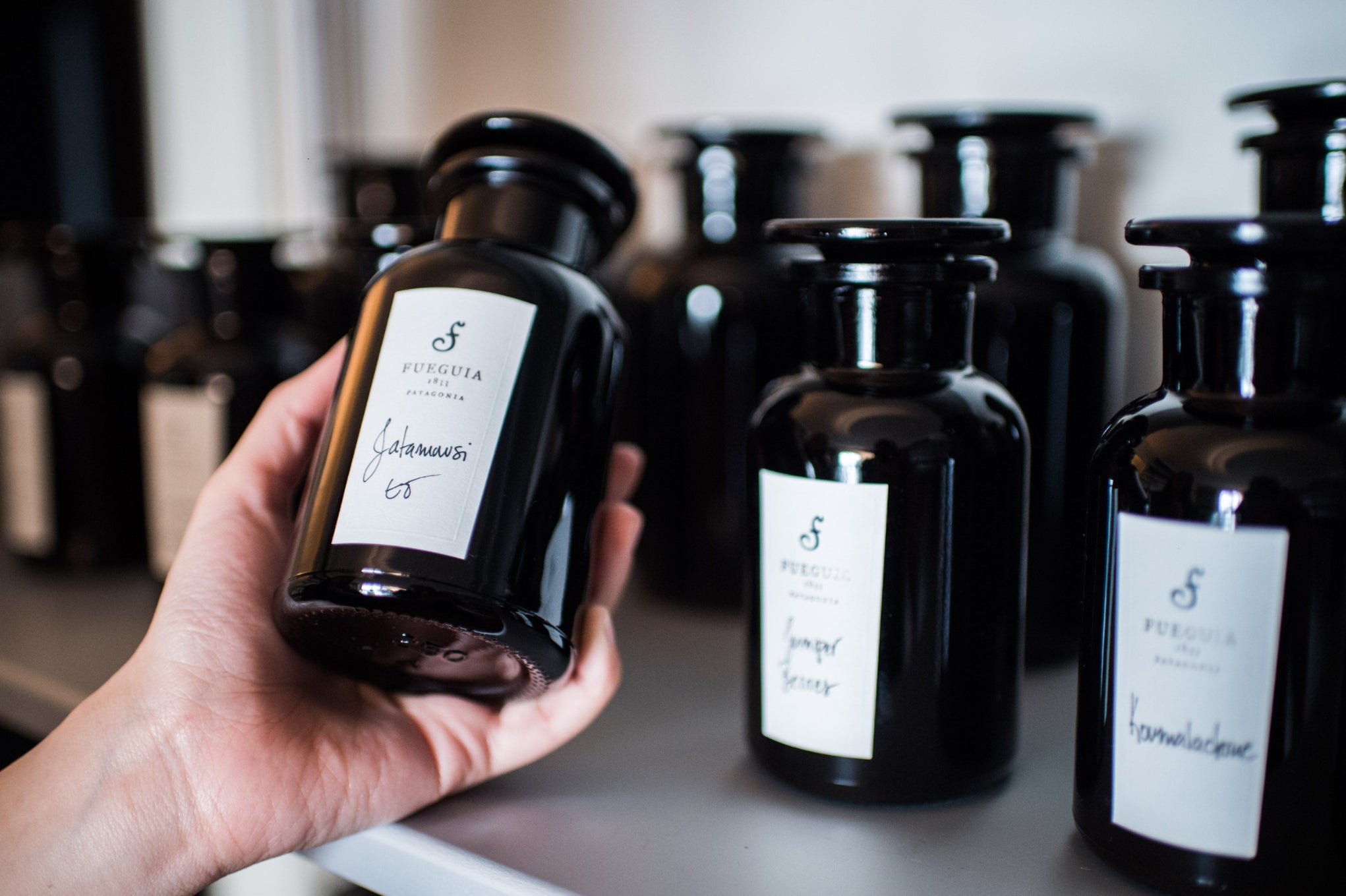 FUEGUIA 1833 | Valle de la Luna｜バジェ デ ラ ルナ | Guitar