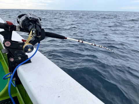 フジモリ・フィッシング・タックル FFTヤリイカ竿スルメイカ竿