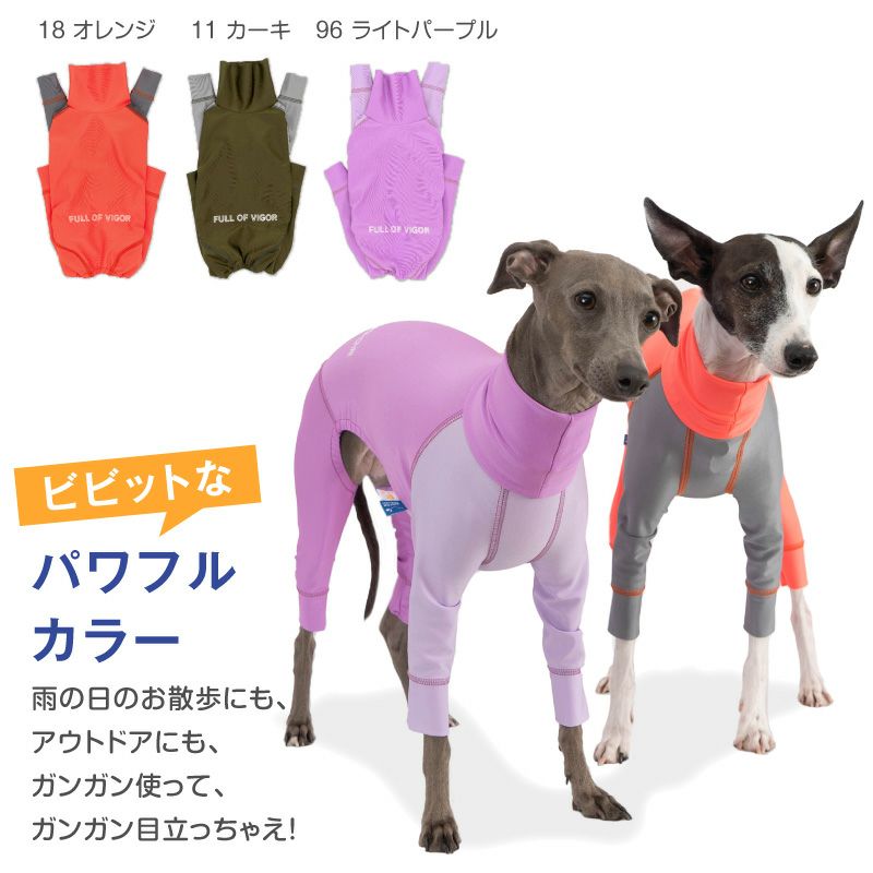 イタグレ用 伸びて 着せやすい ドッグプレイ(R) 配色 撥水 ラッシュ