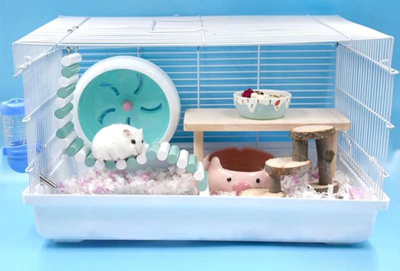 ハムスター2匹同じケージで仲良く幸せに暮らせる理想の住まい15選