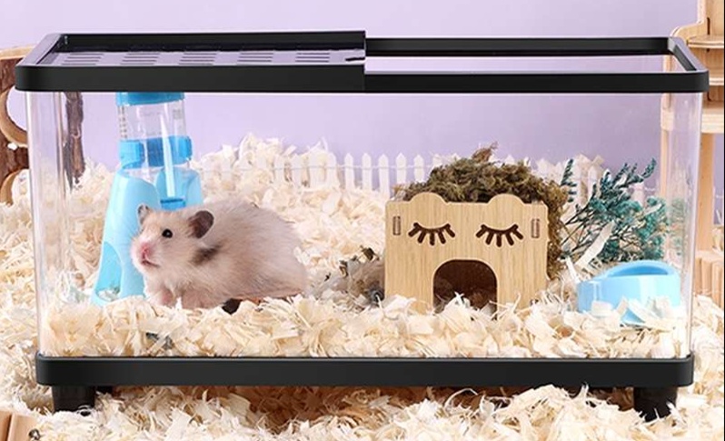 透明で観察しやすい！ゴールデンハムスターが快適に暮らせる水槽5選