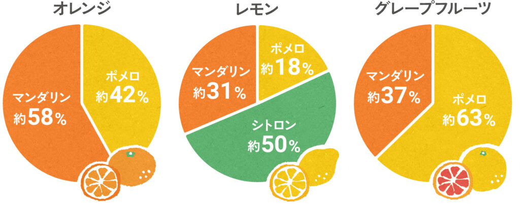 柑橘の歴史-いますぐ誰かに話したくなる10の秘密 | FuruFumu （フルフム）