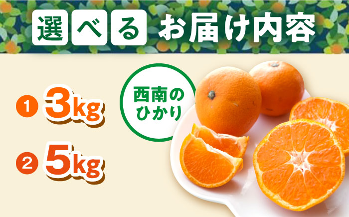 選べる容量！】 西南のひかり【志村農園】 [AKGH005]