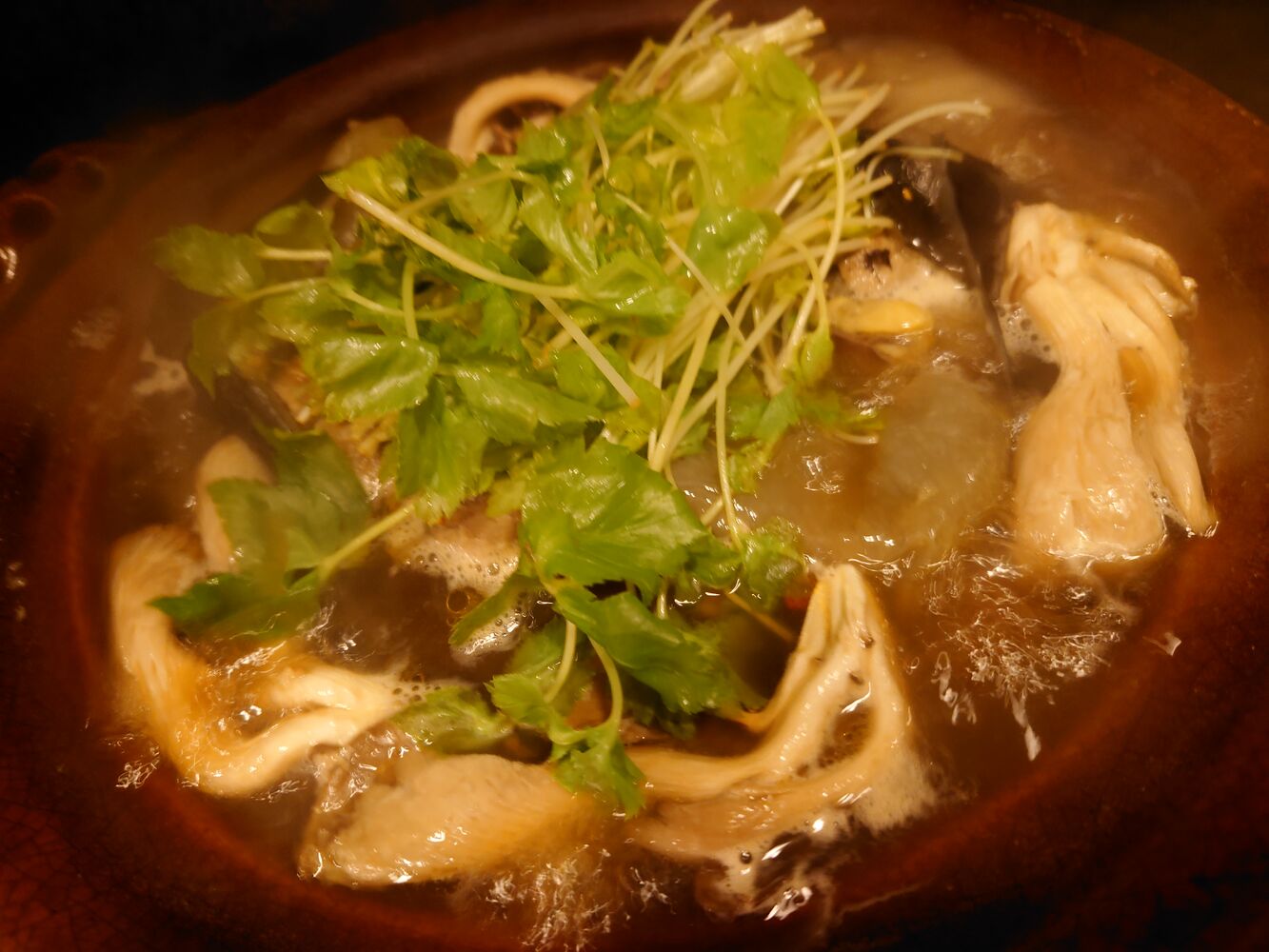 初めてでも安心！本格すっぽん料理の楽しみ方 #すっぽん料理 #すっぽん