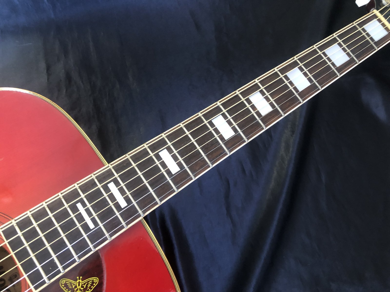 Morris / WH-25 ハミングバード 日本製 - HR/HMギター専門店 FUTURE WORLD