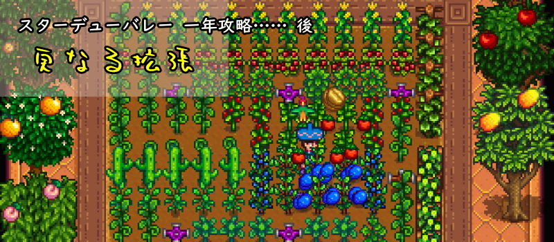 スターデューバレー 一年攻略 - 更なる拡張と挑戦