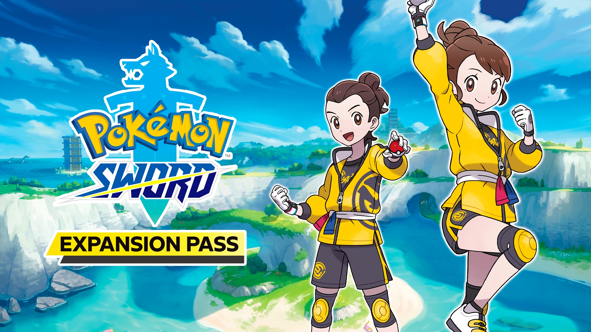 Buy Pokémon Sword: Expansion Pass - Switch