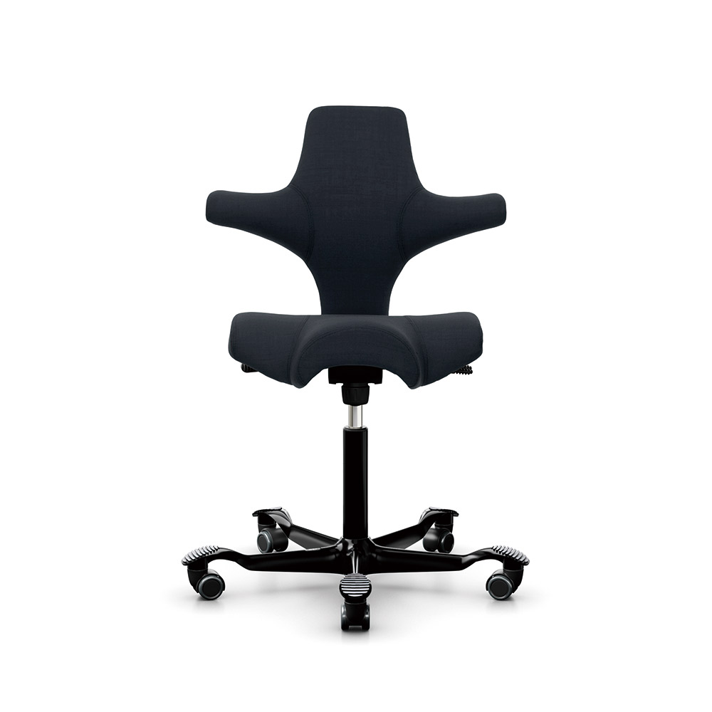 HAG Capisco/ホーグ カピスコ チェア 本革張り レザー (座面高41.7cm