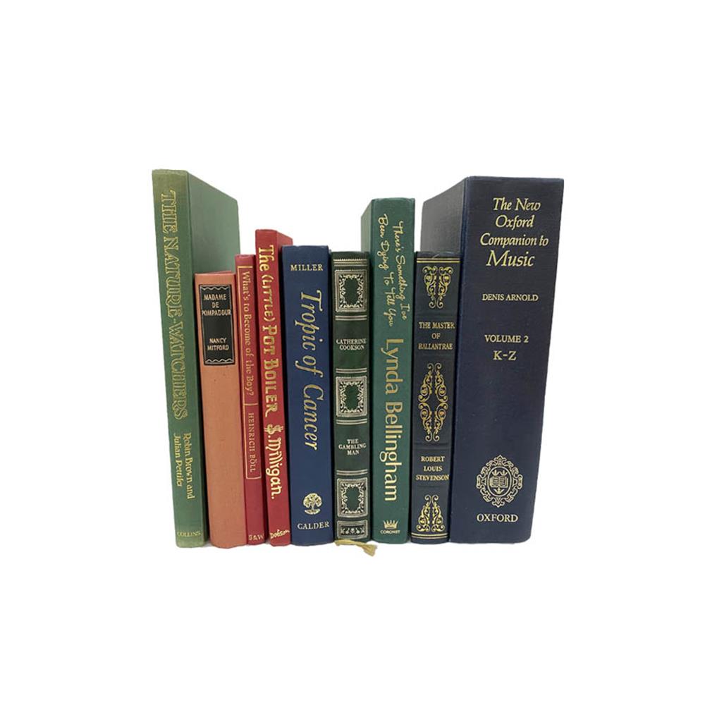 ユーズドブック 25cm (アンティーク 洋書 本 ディスプレイ ダルトン