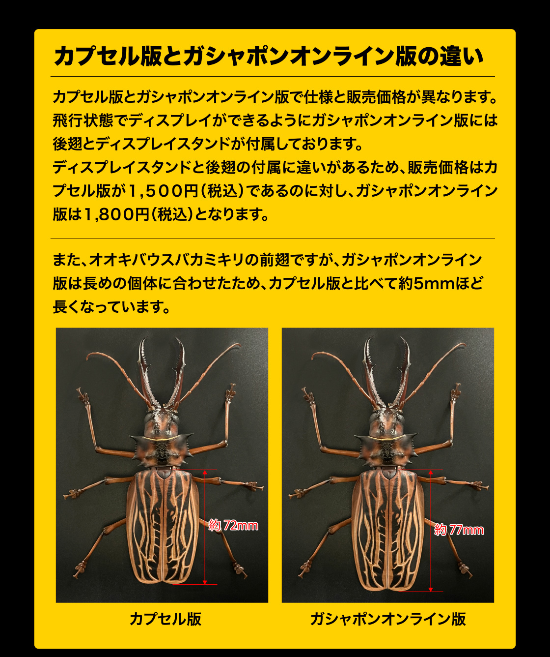 いきもの大図鑑アドバンス オオキバウスバカミキリとハンミョウ