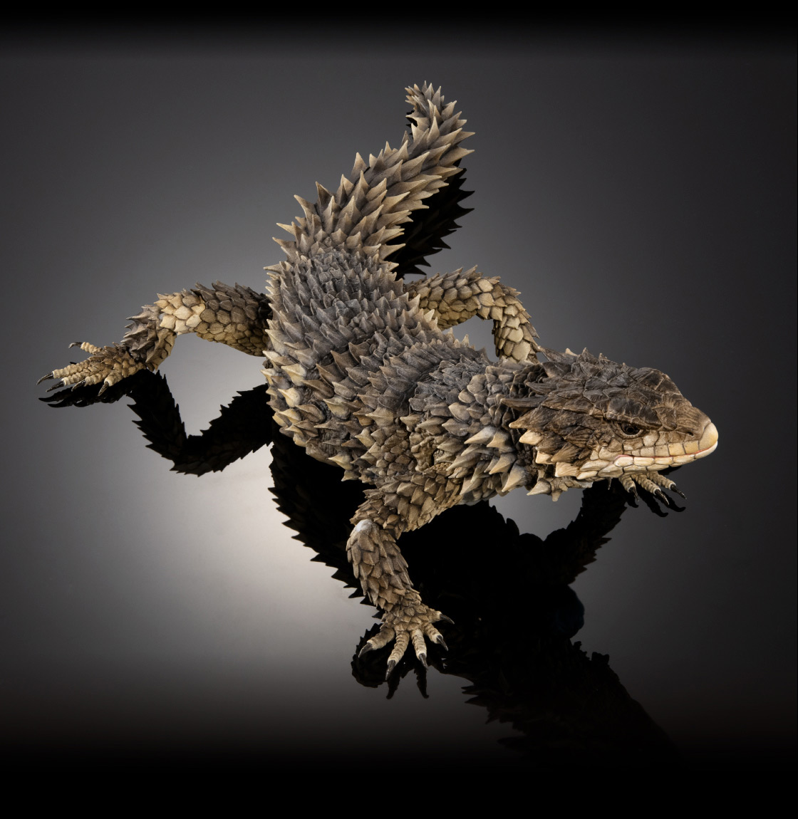 いきもの大図鑑アルティメット オオヨロイトカゲ｜いきもの大図鑑