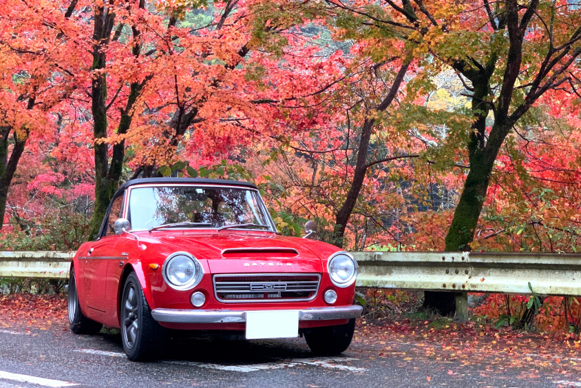 乗らされてるのではなく、乗っている感がいい！ダットサン