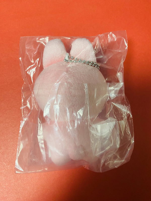 Qoo10] NewJeans マスターニム ぬいぐる