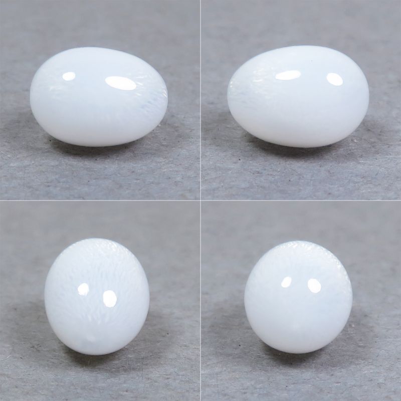 トリダクナパール(シャコ真珠)(1.92ct) - ジェムインターネットTOKYO