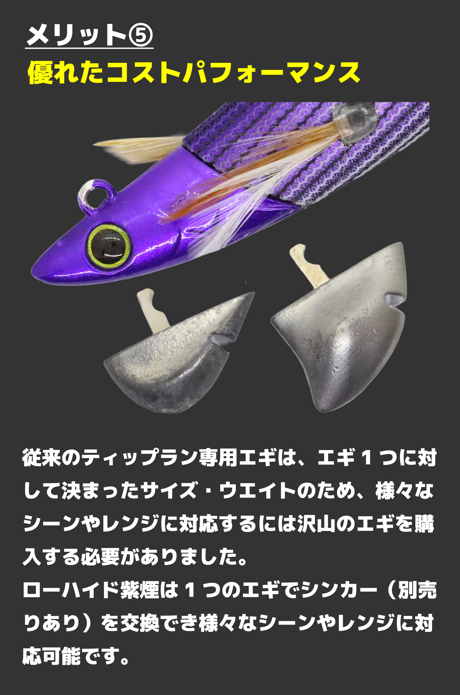 ローハイド紫煙』ティップラン専用エギ：GEECRACK – アオリイカを狙う