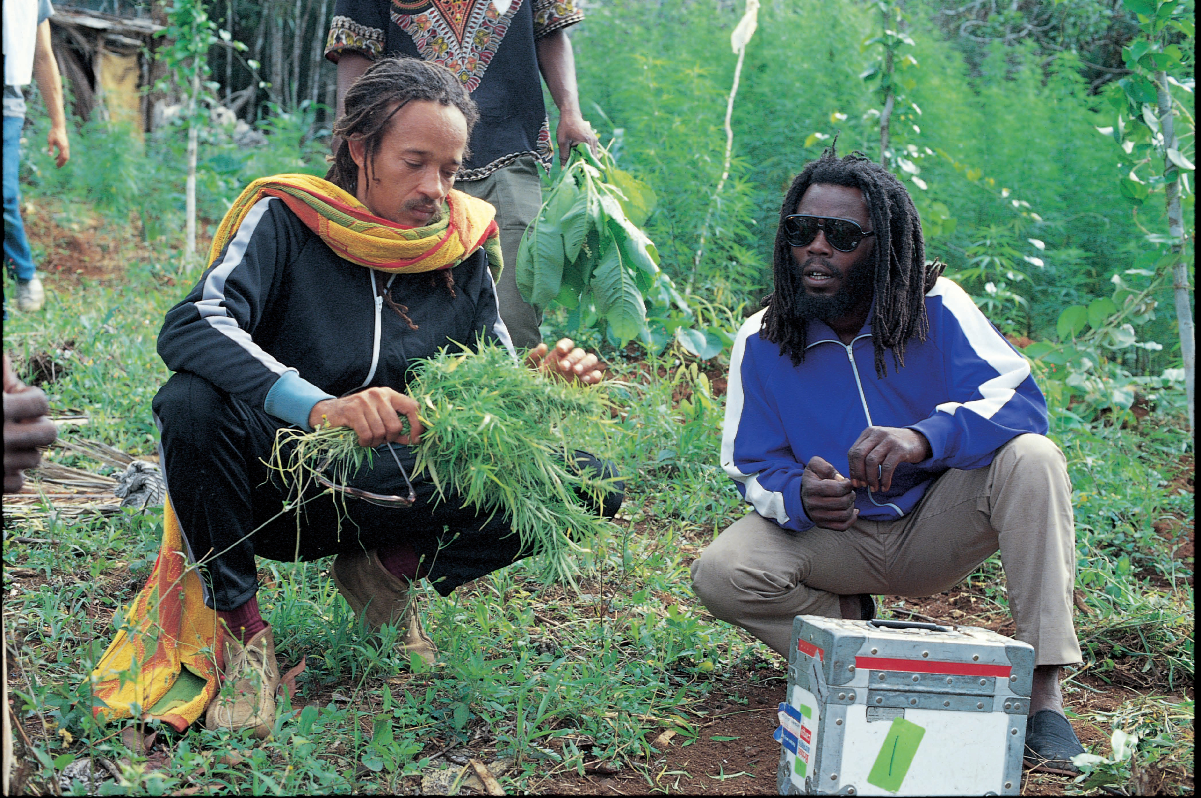 Rockers | Gingko Press