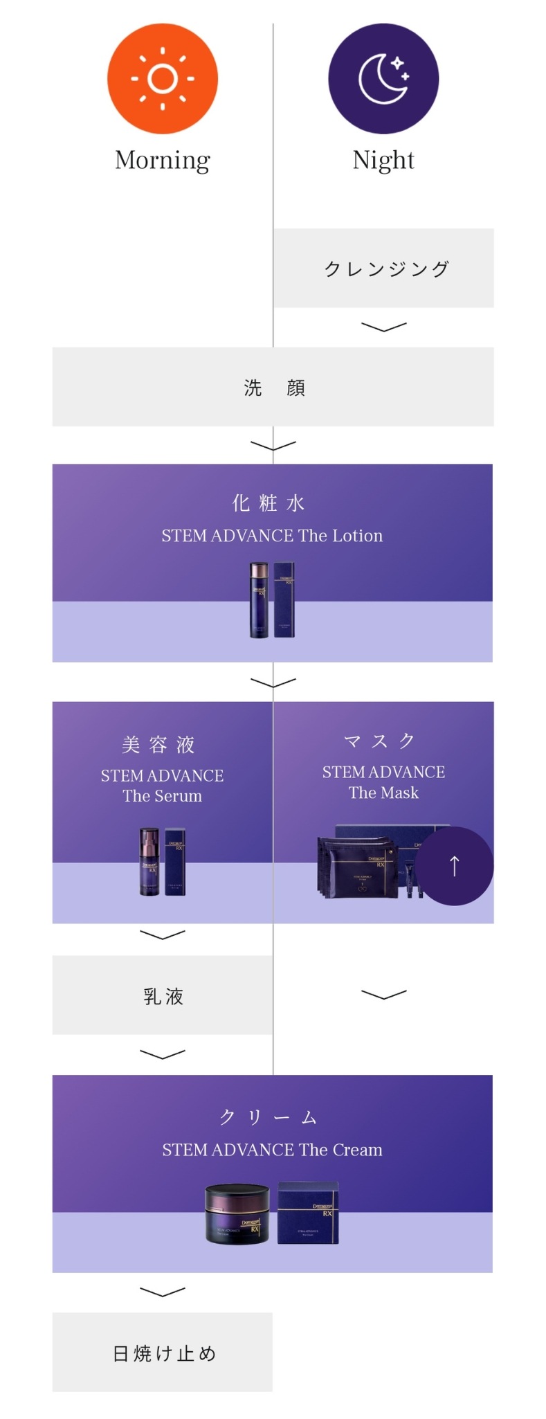 ダーマセプト RX ステムアドバンスクリーム ロート｜正規通販｜W