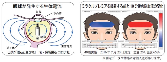丸山式コイル】見楽来（ミラクル）プレミア（メガネ用丸山式・電磁波対策）