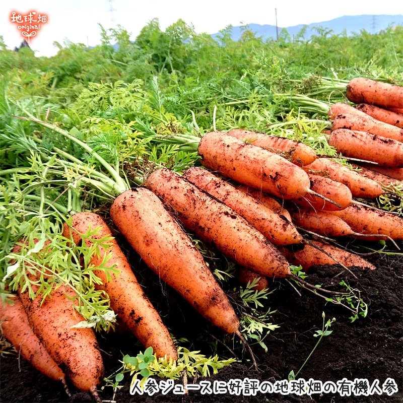 有機にんじんペースト 200g 冷凍便 | 冷凍食品 | 地球畑【公式