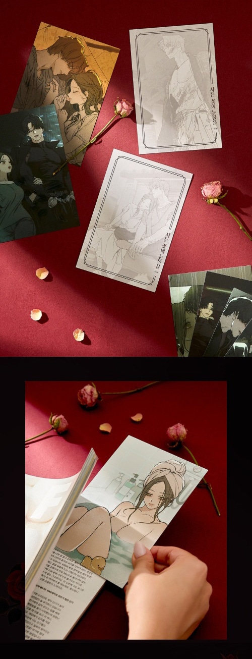 枯れた花に涙を ポストカード イラストカード ハガキ 韓国グッズ