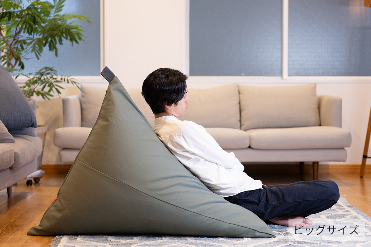 tetra 8号帆布 ビーズクッション テトラ 【レギュラーサイズ