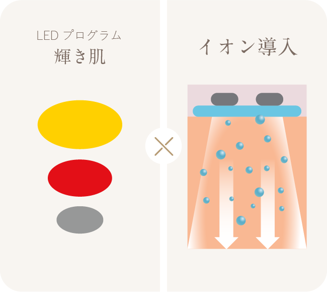 Exideal ovo (エクスイディアル オーヴォ) | LED美顔器 | LED美顔器