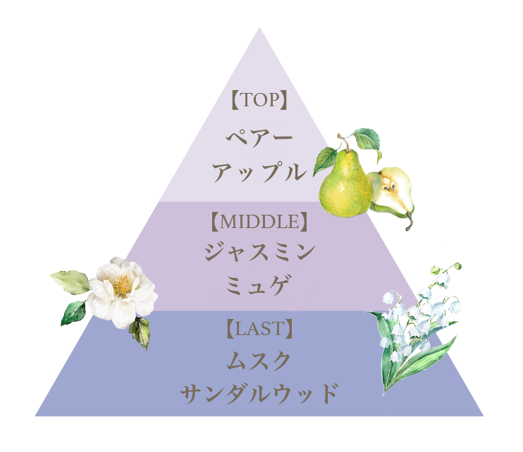 フレグランスプレミアムボディソープ（マリアリゲル）/Fragrance