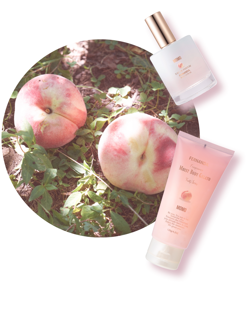 サスティナビリティ | フェルナンダ公式オンラインストア/FERNANDA