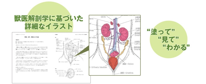 株式会社学窓社