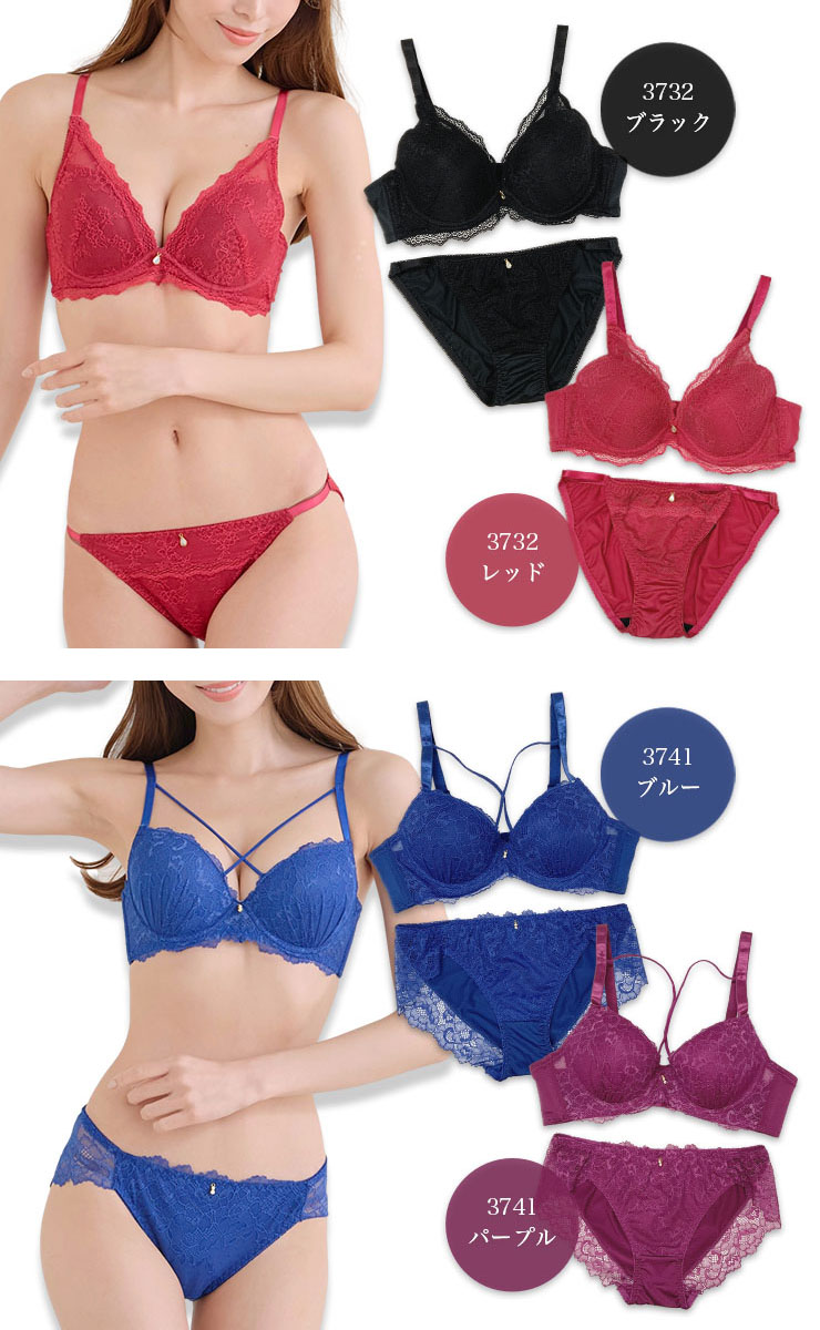 ブラジャーショーツセット （Cカップ アンダー85/90/95） (j3-c)