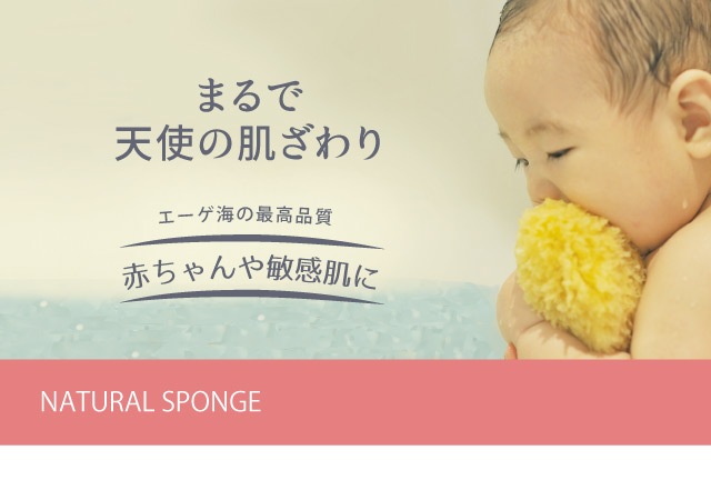 天然海綿 | ヘナのグリーンノート 公式オンラインショップ
