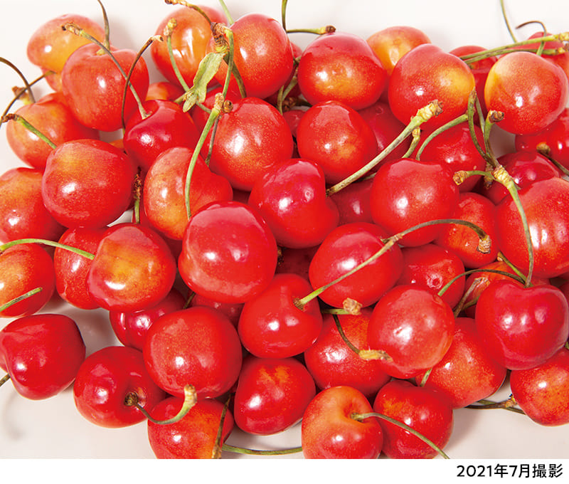 アメリカンチェリー｜ホップスモール公式通販(阪急交通社グループ)