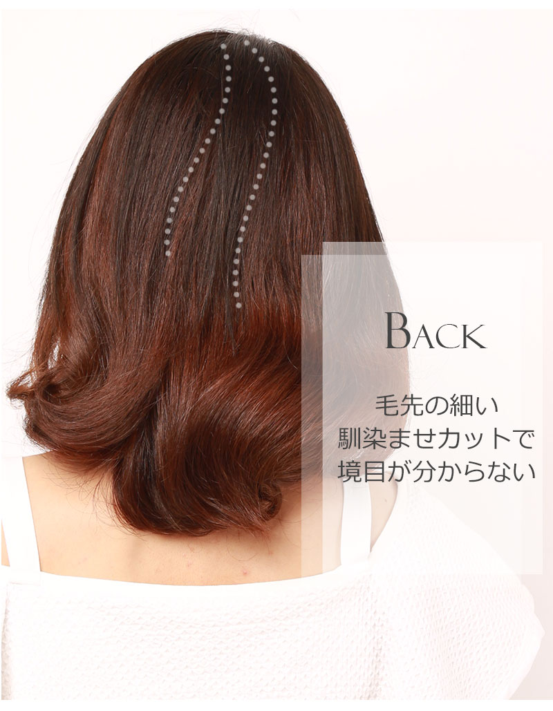 公式】私元気ウィッグ専門店 | 総手植え 通気性 人毛 【25cm】 部分
